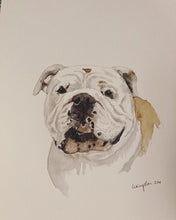 Load image into Gallery viewer, Large Custom Watercolor Pet Portrait 11x15&quot;
