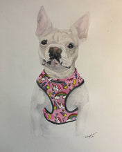 Load image into Gallery viewer, X-Large Custom Watercolor Pet Portrait 18x24&quot;
