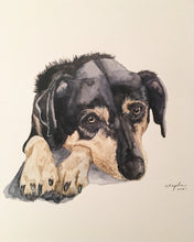 Load image into Gallery viewer, Large Custom Watercolor Pet Portrait 11x15&quot;
